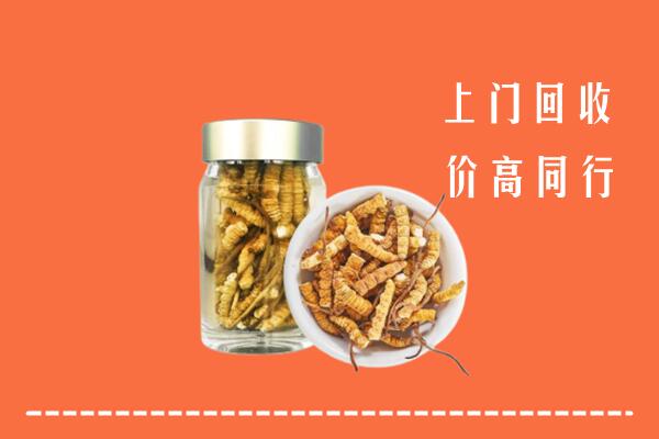 吉安吉水县回收冬虫夏草
