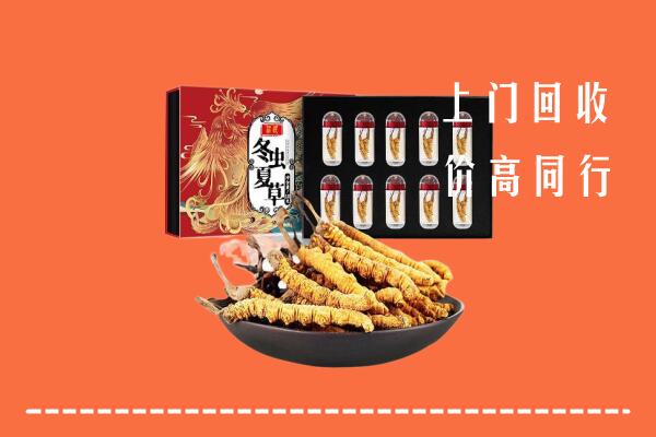 吉安吉水县回收虫草